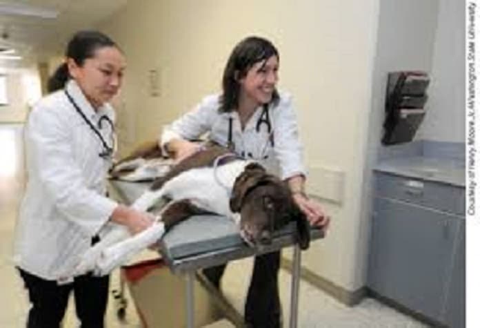 BVC Mumbai College Images photo 5