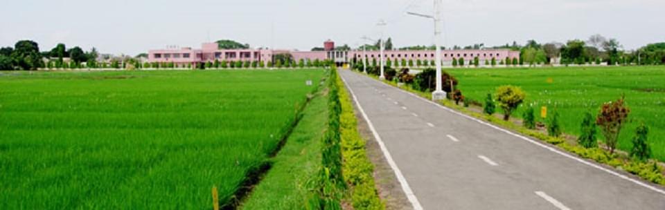 Central Rice Research Institute Cuttack College Images photo 5
