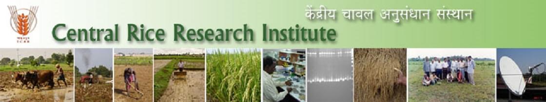 Central Rice Research Institute Cuttack College Images photo 2