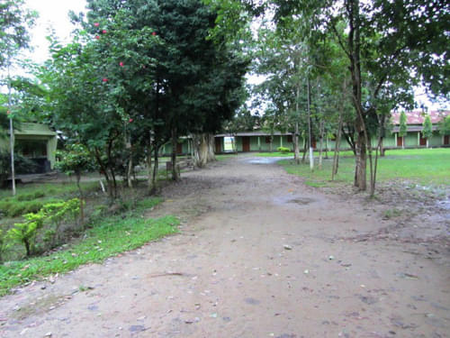 Moridhal College Dhemaji Campus photo 3