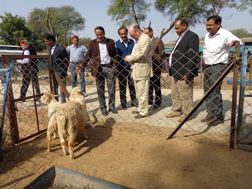 Central Sheep and Wool Research Institute Tonk College Images photo 4