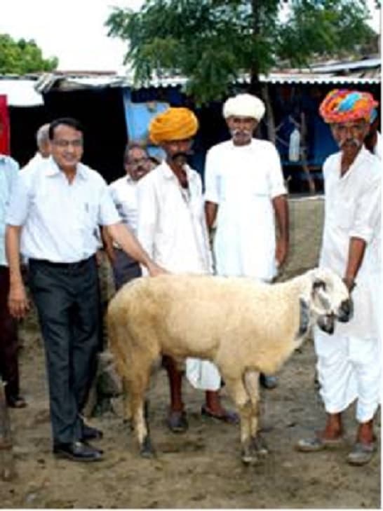 Central Sheep and Wool Research Institute Tonk College Images photo 6