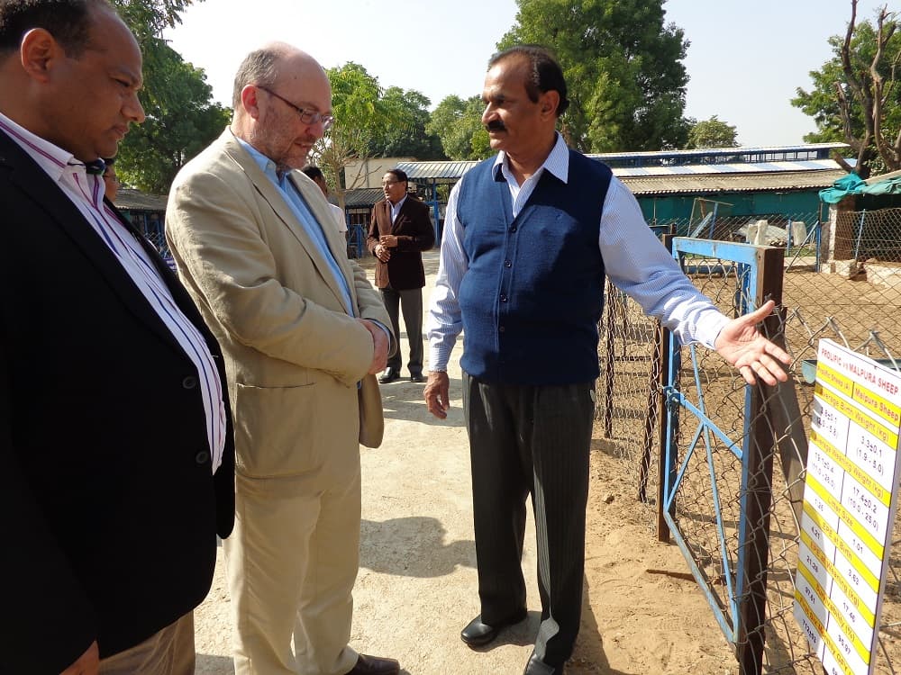 Central Sheep and Wool Research Institute Tonk College Images photo 7