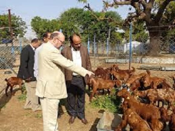 Central Sheep and Wool Research Institute Tonk College Images photo 3