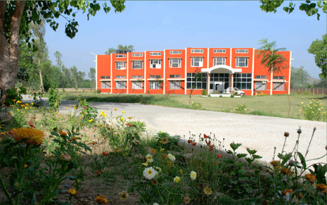 Mehar Chand College of Education Rupnagar Campus photo 3