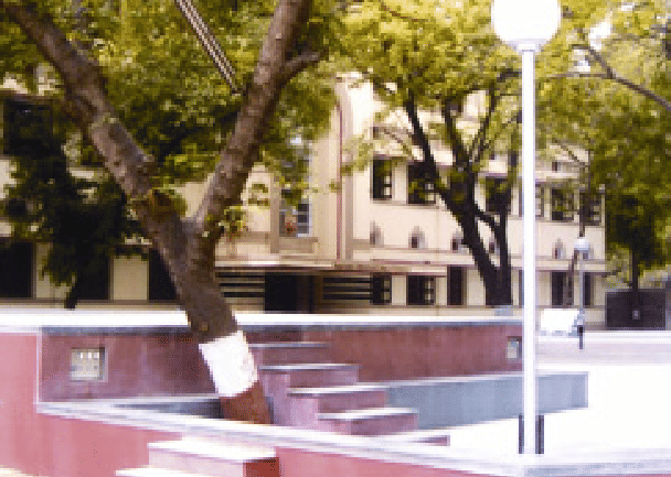 HL Centre For Professional Education Ahmedabad Campus photo 3