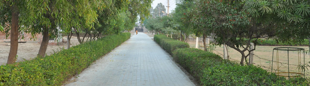 College of Physiotherapy Adesh Institute of Medical Sciences & Research Bathinda campus photo 3