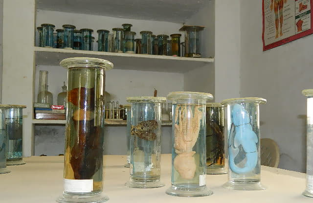 Sathyasai B.Ed. College Avadi Infrastructure photo 3