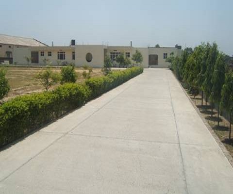Lord Krishna College of Education Kapurthala Campus photo 2
