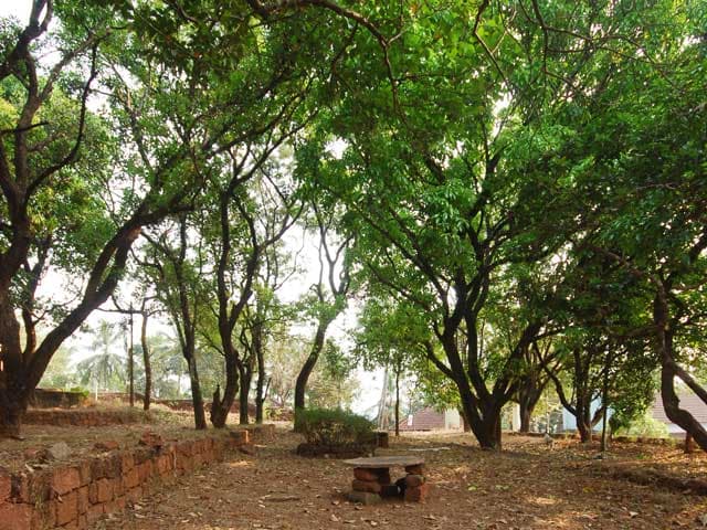 Madeenathul Uloom Arabic College Pulikkal Campus & Infrastructure photo 5