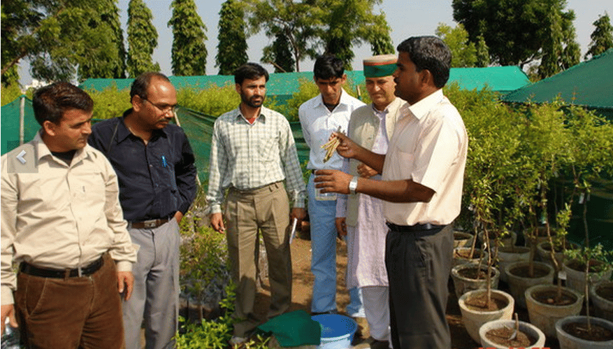 National Research Center on Pomegranate Solapur Extra Curriculars photo 1