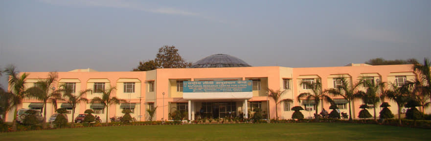 National Research Centre for Litchi Muzaffarpur Academic Building photo 1