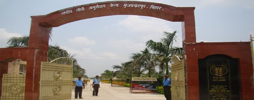 National Research Centre for Litchi Muzaffarpur Academic Building photo 4