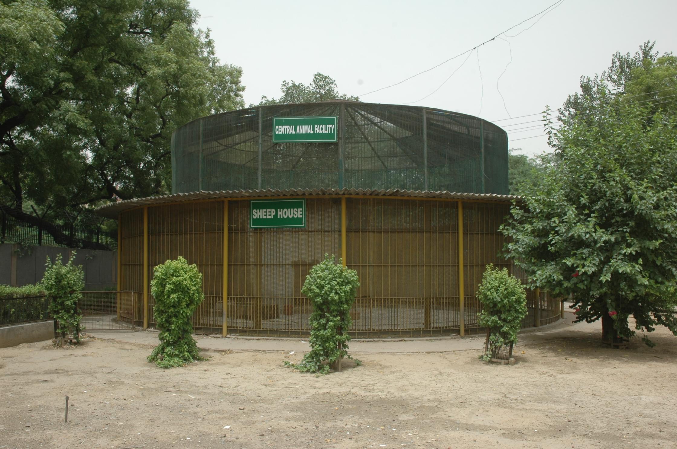 National Institute of Communicable Diseases New Delhi Campus photo 1
