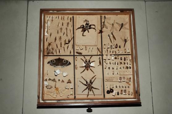 National Institute of Communicable Diseases New Delhi Campus photo 3