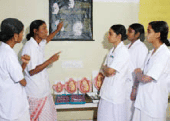 Sri Adi Siva MPHW Training Institution Anantapur Campus photo 6