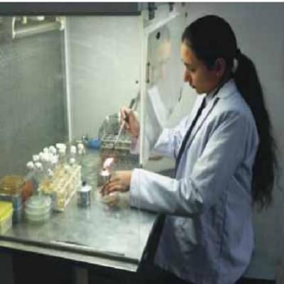 Shoolini Institute of Life Sciences and Business Management Solan Labs and Library photo 5