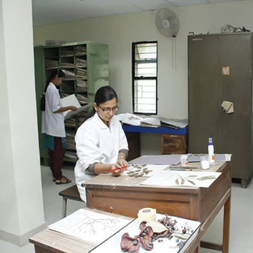 Regional Ayurveda Institute for Fundamental Research Pune Labs photo 5