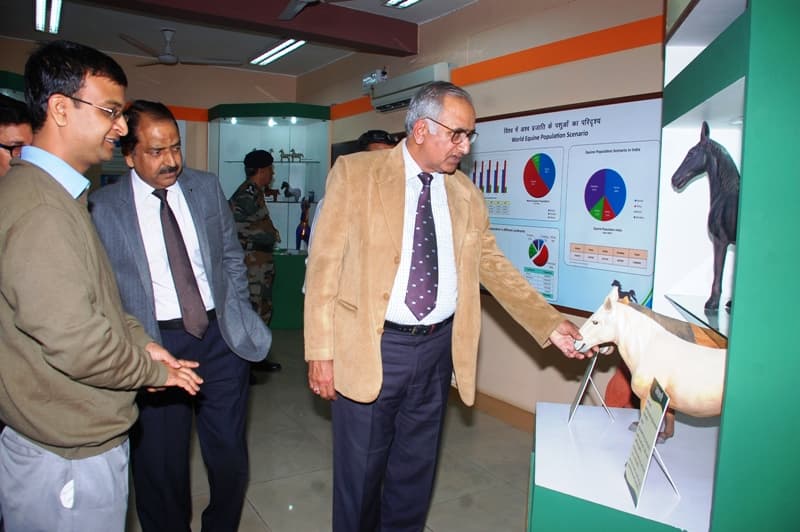 National Research Centre on Equines Hisar Extra Curriculars photo 4