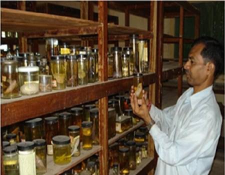 J and J College of Science Nadiad Academic Building photo 1