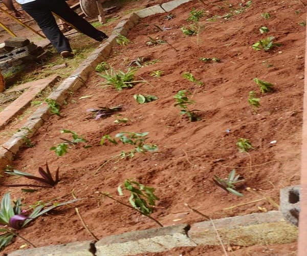 MES Arts and Science College Nilambur Campus photo 5