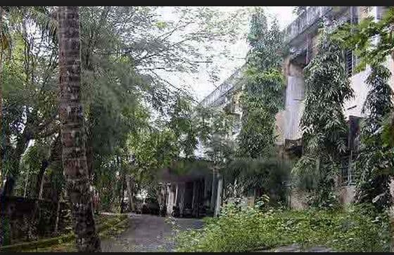 Mahatma Gandhi Government College Mayabander Campus photo 2