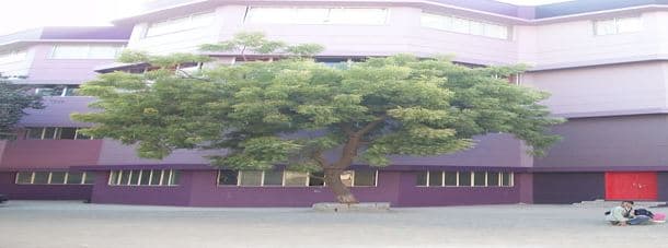 Smt KSN Kansagara College Rajkot Campus photo 2