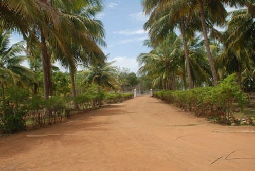 Sri Sarada Niketan College for Women Karaikudi Campus photo 5