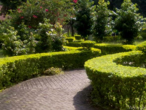 Patkai Christian College Dimapur Infrastructure photo 2