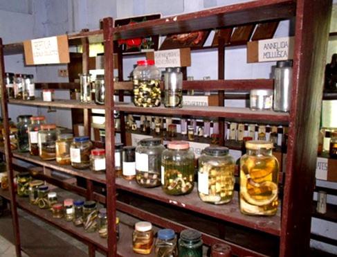 Patkai Christian College Dimapur Facility photo 1