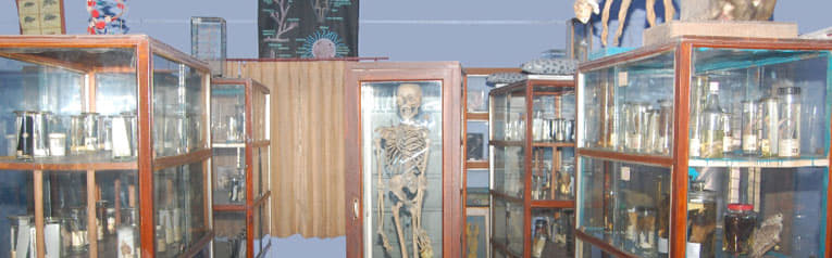 Shri Saraswati Vidyalya Post Graduate College Hapur Campus photo 6