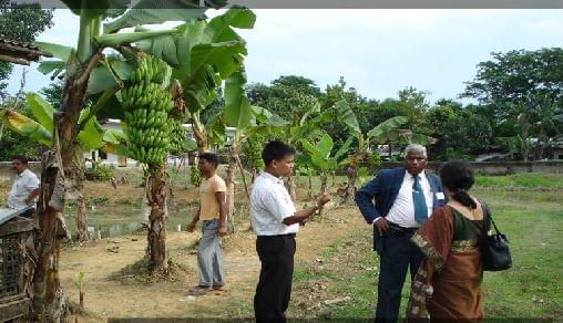 Sibsagar Girls' College Campus photo 4