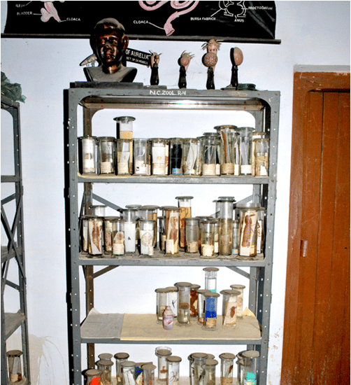 Nehru PG College Kannauj Campus photo 1