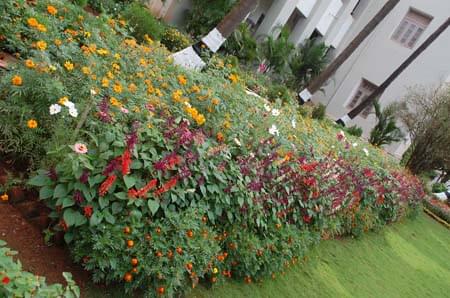 PC Jabin Science College Hubli Campus photo 5