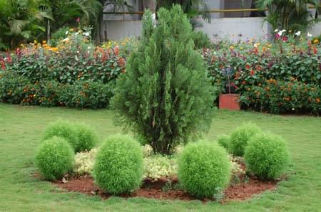 PC Jabin Science College Hubli Campus photo 6