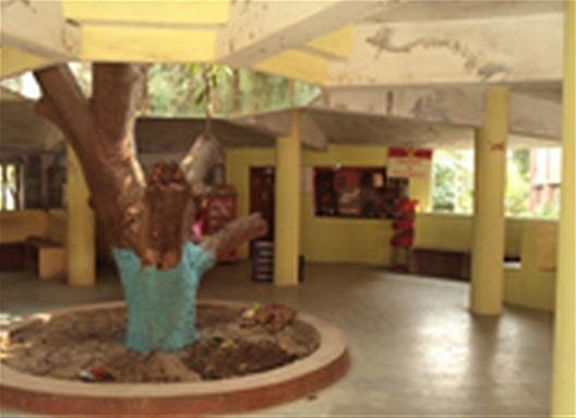 RKDF Institute of Management Bhopal Infrastructure photo 3