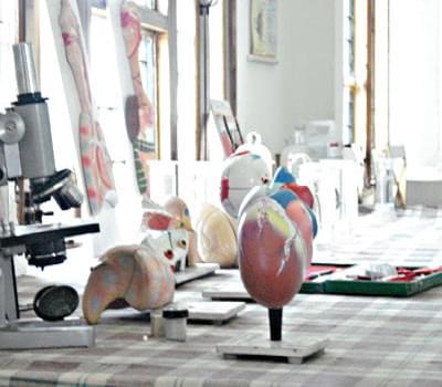 Kukreja Institute of Teacher's Education Dehradun Campus photo 7