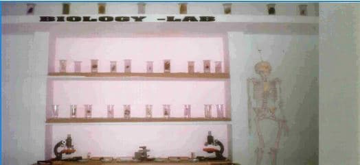 Mahamaya BEd College Chhatarpur Campus photo 1