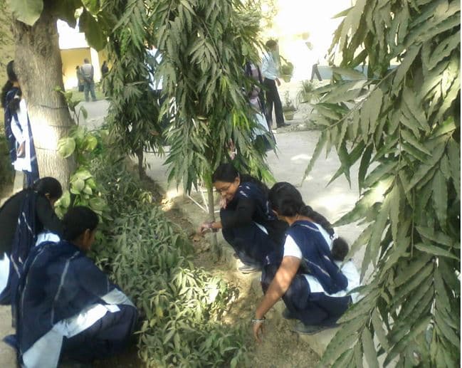 Maharishi Dayanand BEd College Ganganagar Campus photo 7