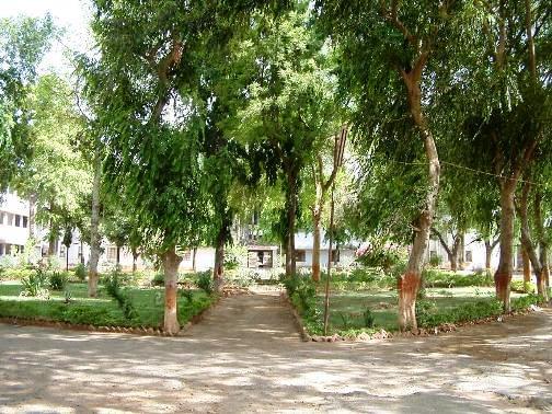 Shri BM Shah College of Pharmaceutical Education and Research Sabarkantha Campus photo 3
