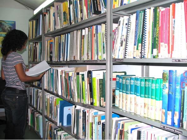 Rekha Devi Memorial Teacher Training Institute Tonk Infrastructure photo 5