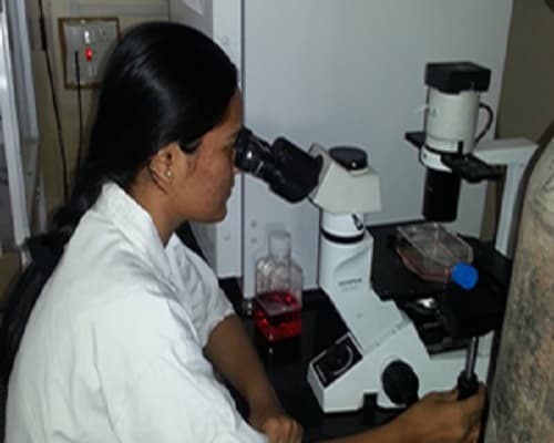 Institute of Bioinformatics and Biotechnology Pune Campus photo 7