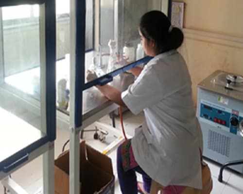 Institute of Bioinformatics and Biotechnology Pune Campus photo 5