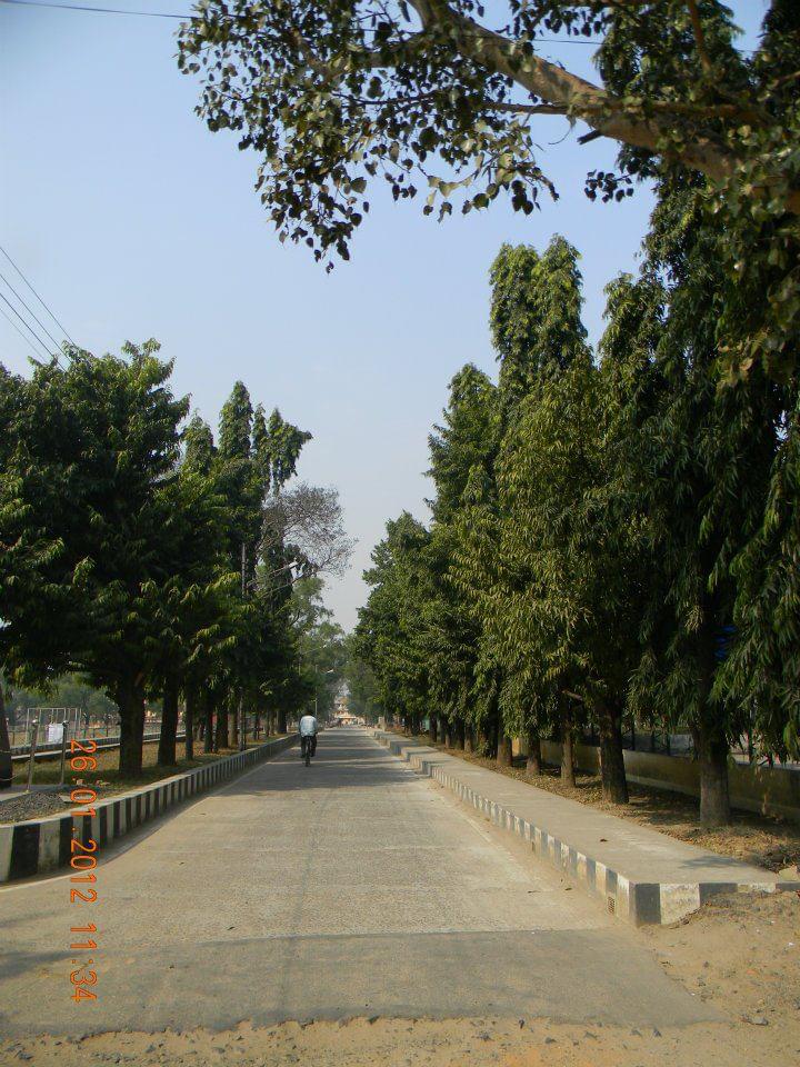 Department of Management Studies, NIT Durgapur Campus photo 2