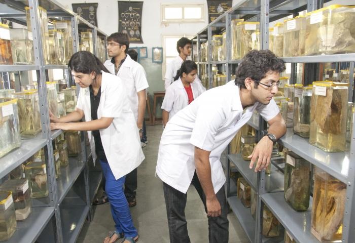 Pramukhswami Medical College Anand Lad photo 3