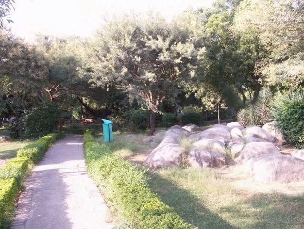 JNU Academic Building photo 6