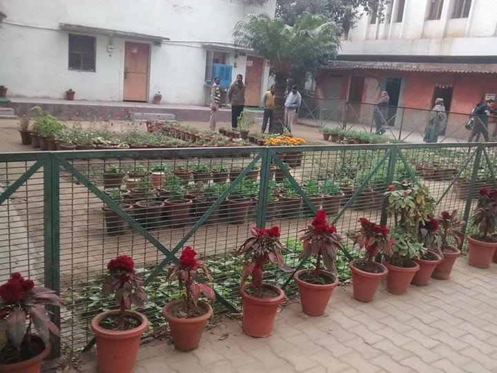 DU SOL Campus photo 5