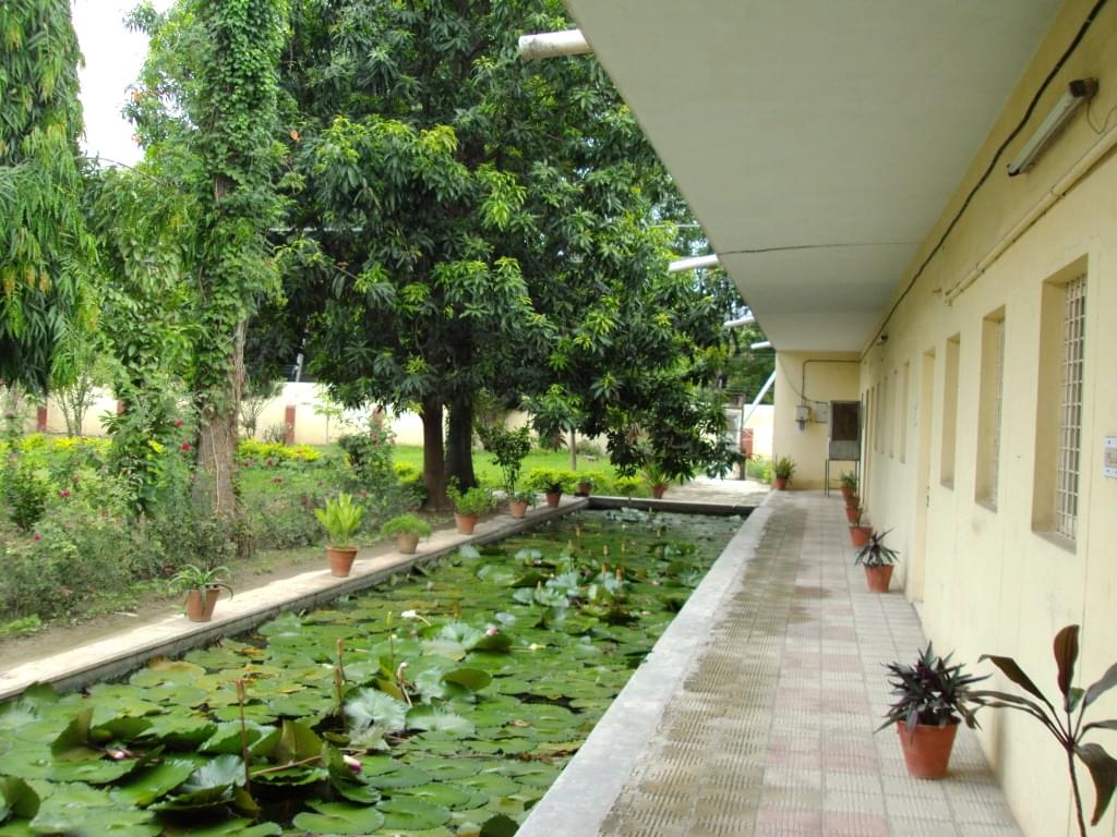 Allahabad University Campus photo 4