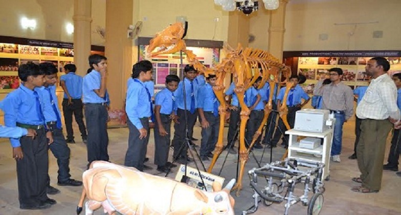 RAJUVAS Facilities photo 4