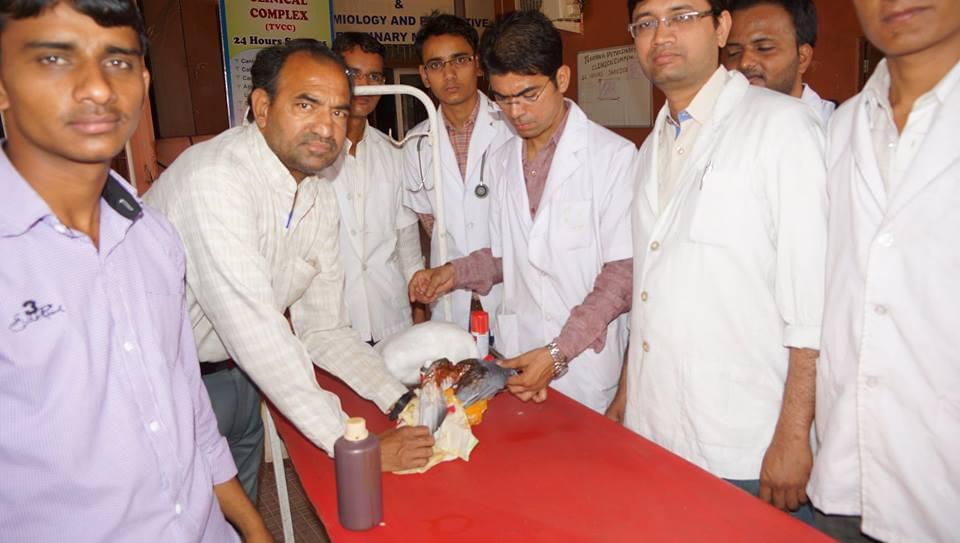 RAJUVAS Campus Images photo 10